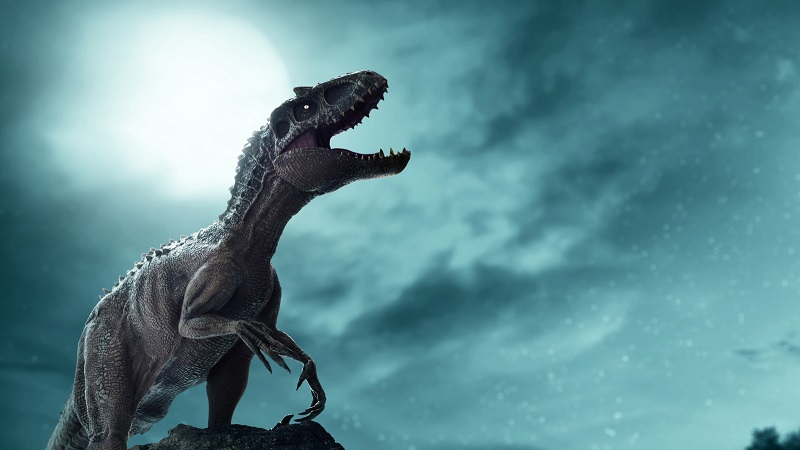 Dream About Dinosaurs