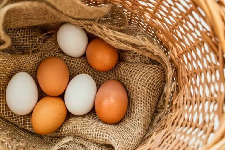 Dream About Eggs
