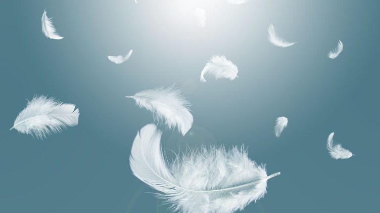 Dream About Feathers