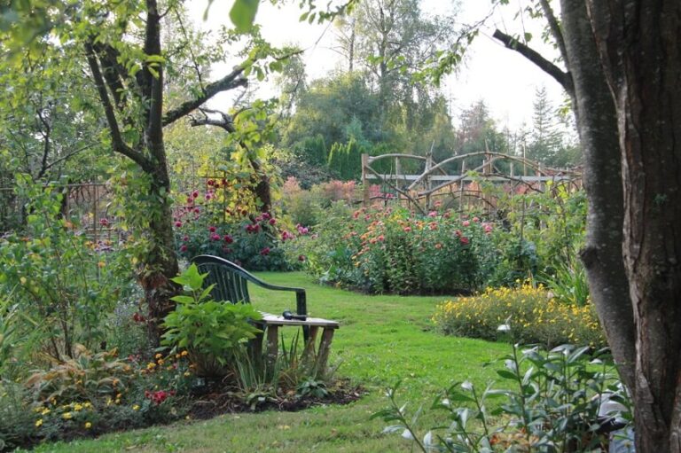 Dream About Garden