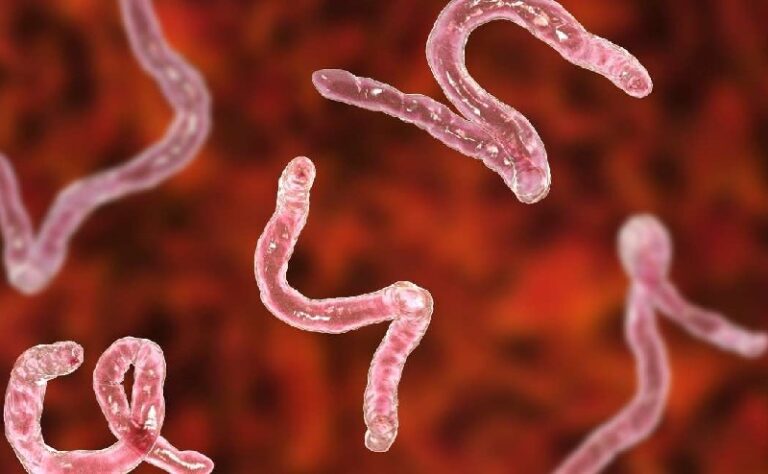 Dream About Intestinal Parasites