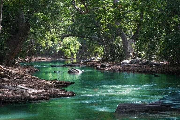 Dream About River