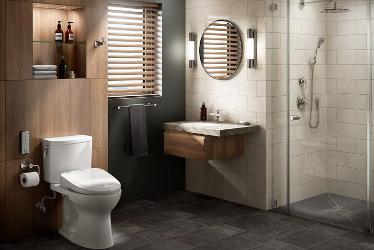 Dream About Toilet