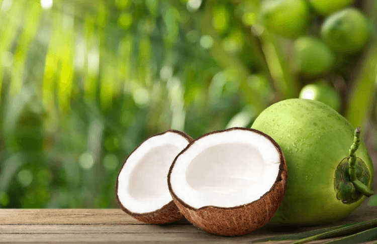 Dream Of Coconut