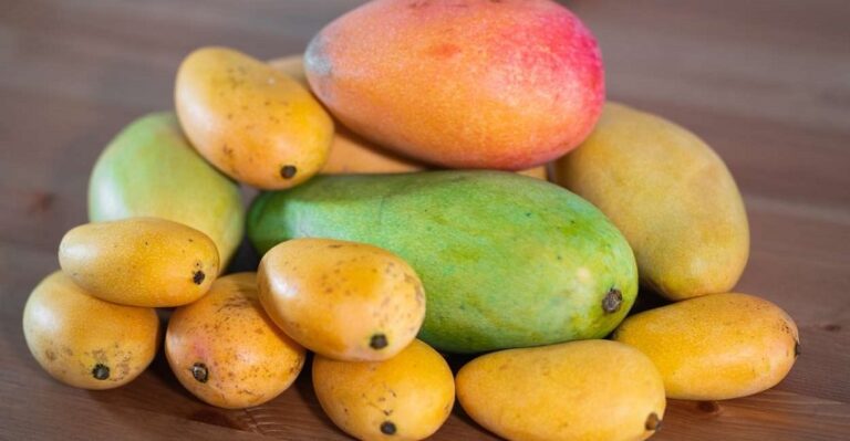 Dream Of Mangoes
