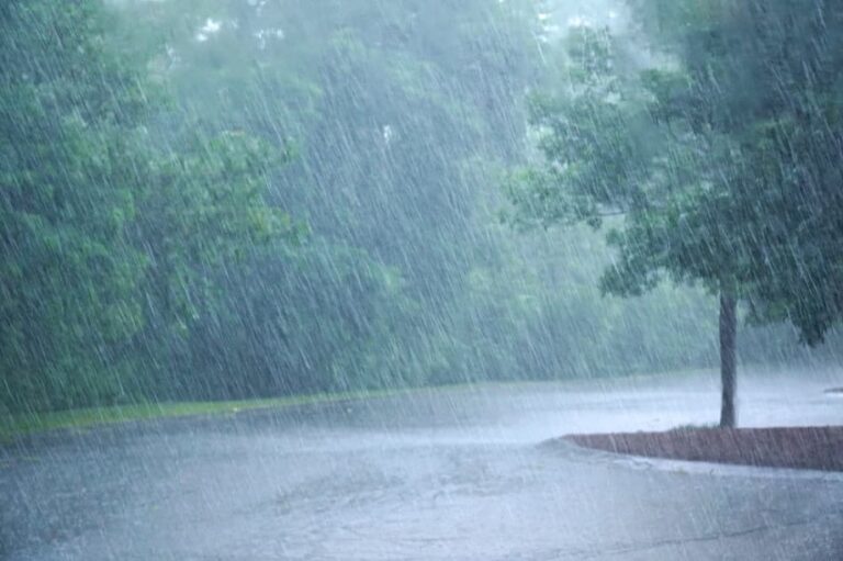 Dream Of Rain