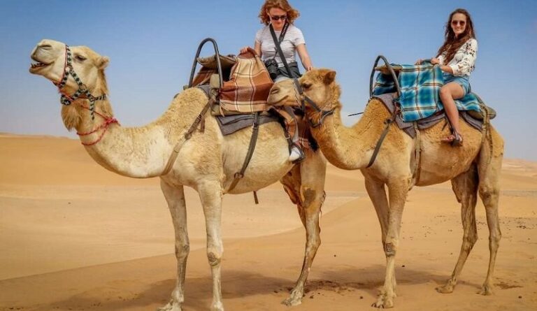 Dream about Camels