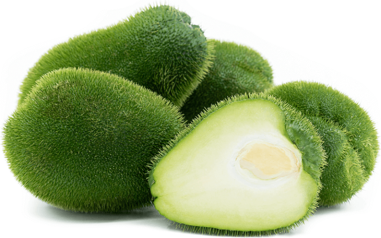 Dream about Chayote's