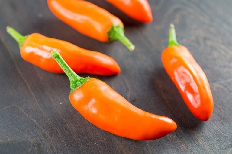 Dream about Chili Peppers