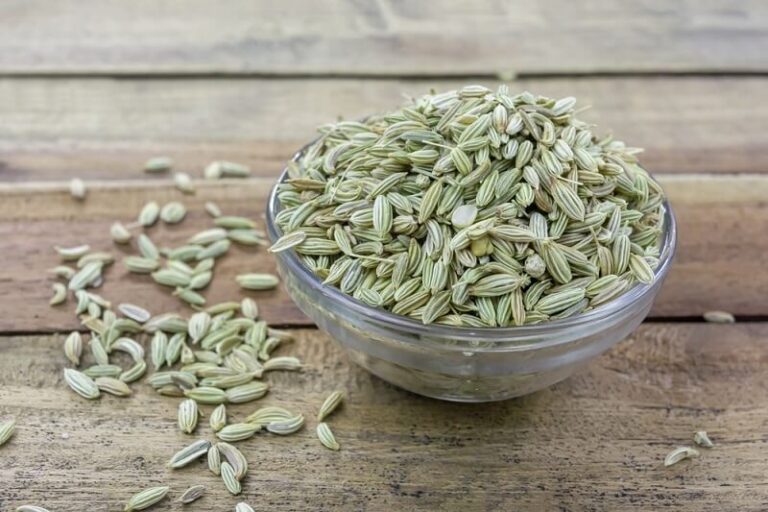 Dream about Fennel