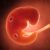 Dream about Fetus (Spiritual Meanings & Interpretation)