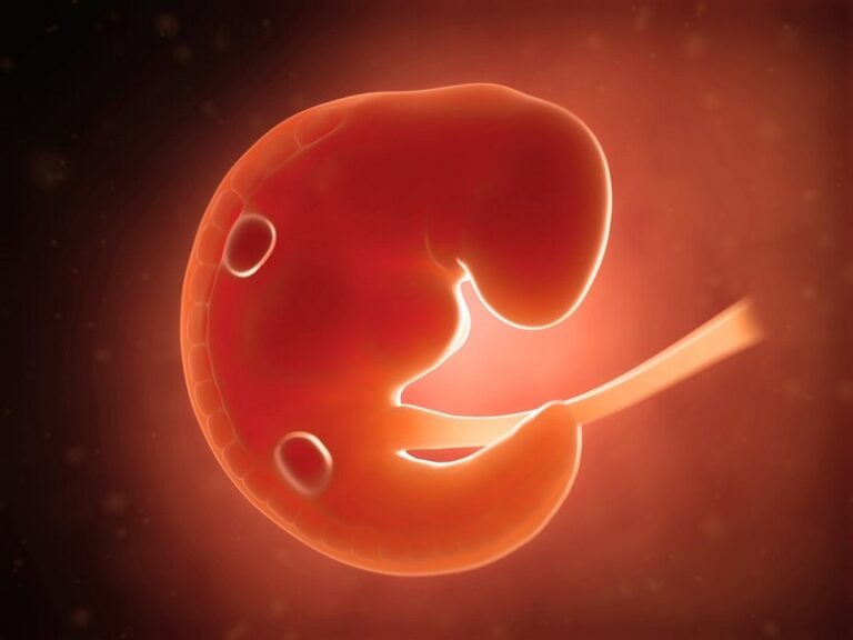 Dream about Fetus