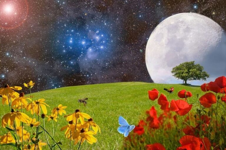 Dream of many flowers