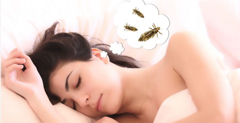 Dream about Lice