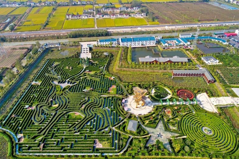Dream about Maze