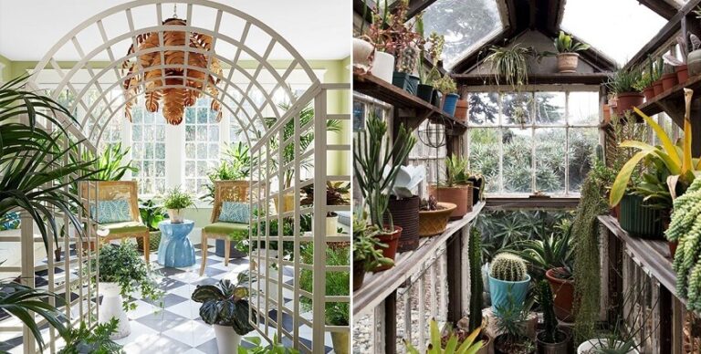 Dream about Plants (Spiritual Meanings & Interpretation)