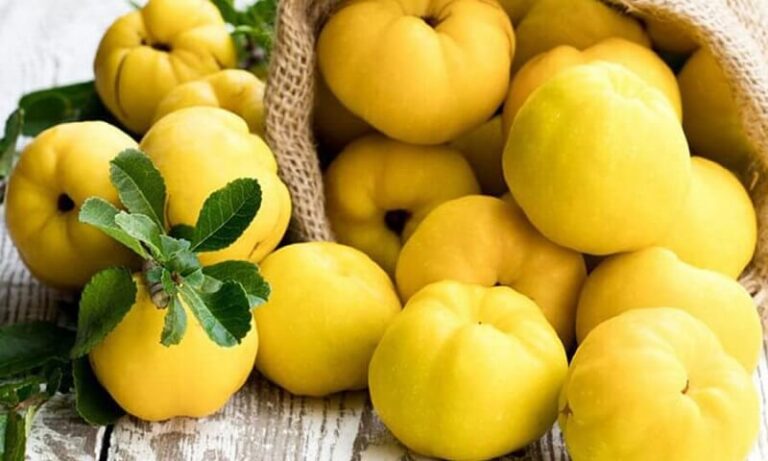 Dream about Quince