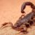 Dream about Scorpions (Spiritual Meanings & Interpretation)