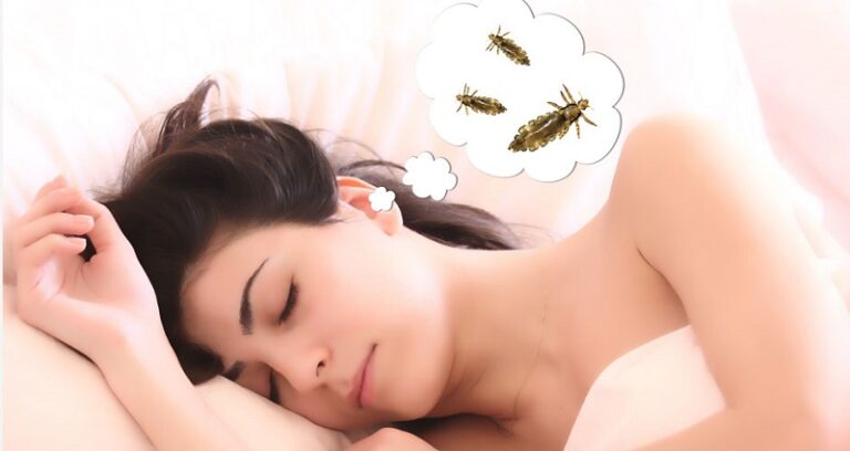 Dream about Ticks (Spiritual Meanings & Interpretation)