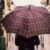 Dream about Umbrellas (Spiritual Meanings & Interpretation)
