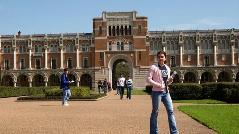 Dream about University