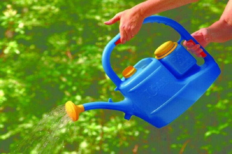 Dream about Watering Can