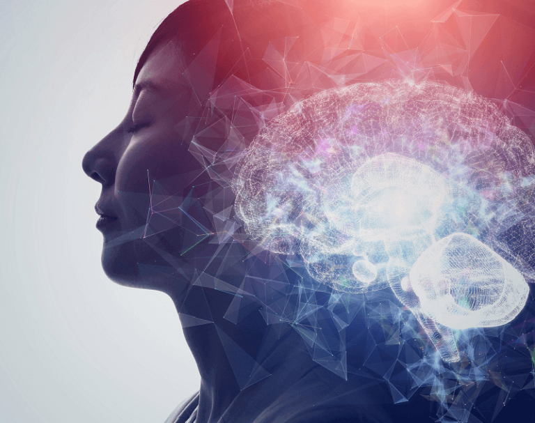 Dream of Brain