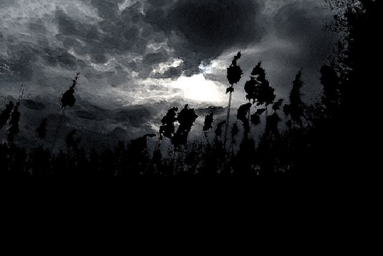 Dream of Darkness