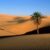 Dream of Desert (Spiritual Meanings & Interpretation)