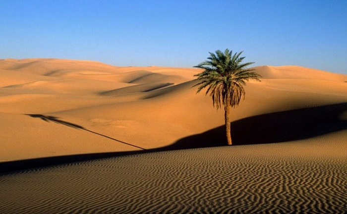 Dream of Desert