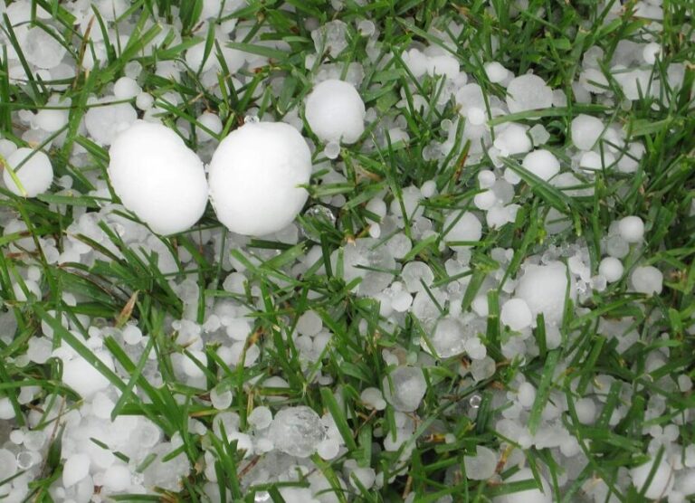 Dream of Hail
