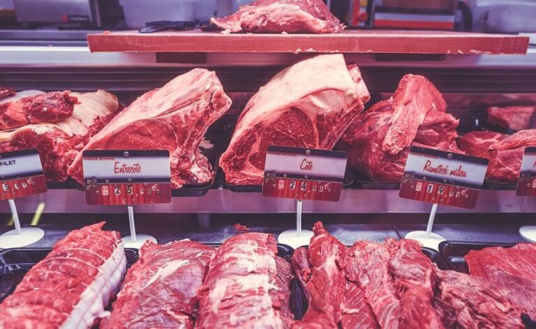 Dream of Meat
