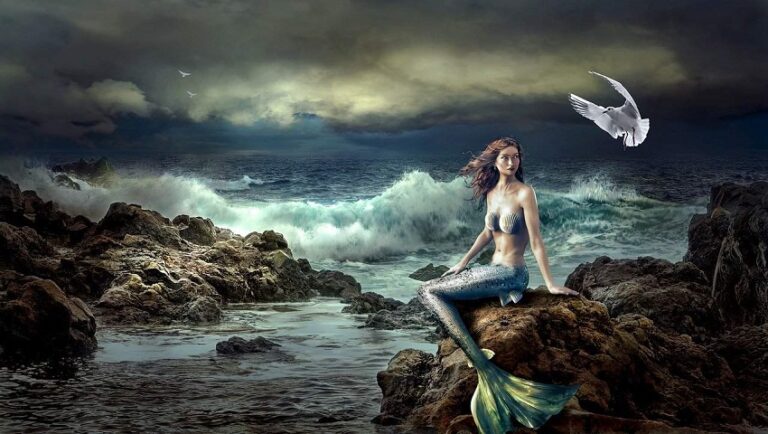 Dream of Mermaids