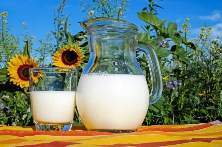 Dream of Milk