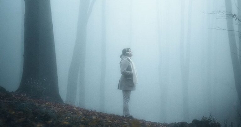 Dream of Mist