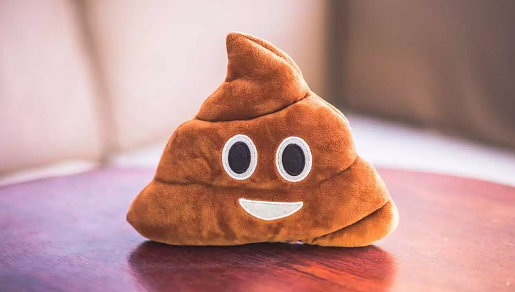 Dream of Poop