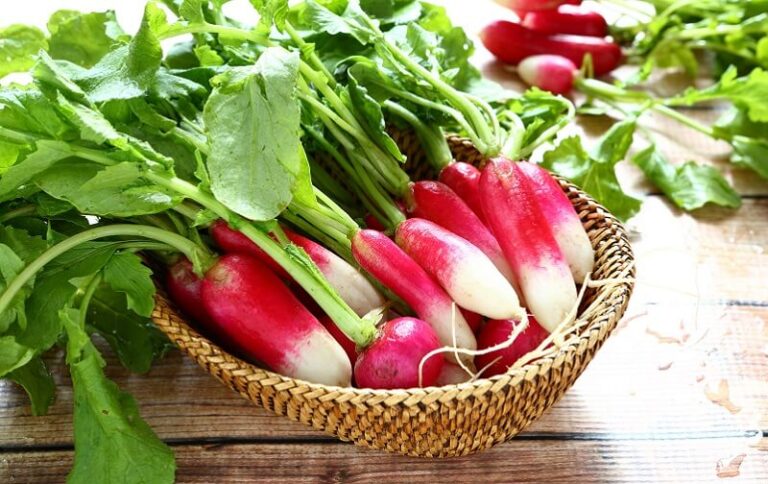 Dream about Radishes (Spiritual Meanings & Interpretation)