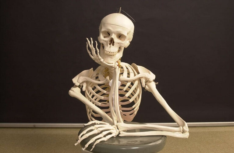 Dream of Skeleton