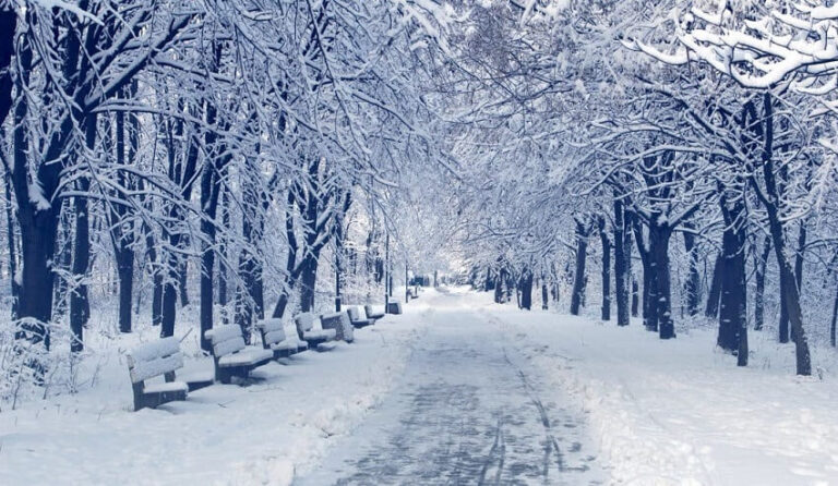 Dream of Snow (Spiritual Meanings & Interpretation)