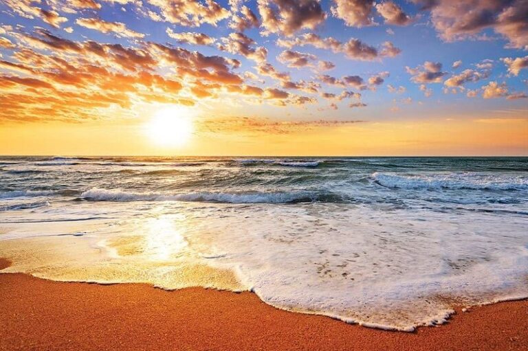 Dream of Sun