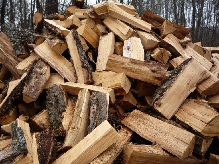 Dream of Wood
