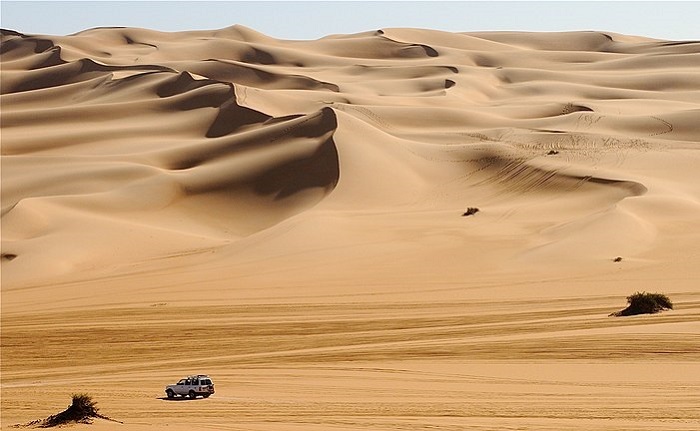 Dreams of sea and desert