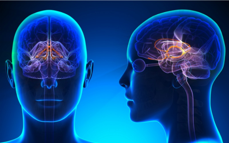 How Does the Brain Craft Dreams
