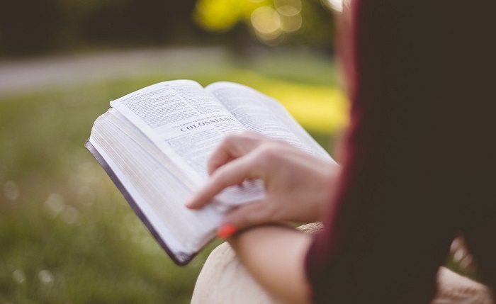 What does it mean to dream of books